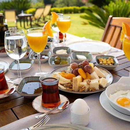 Ida Tas Hotel